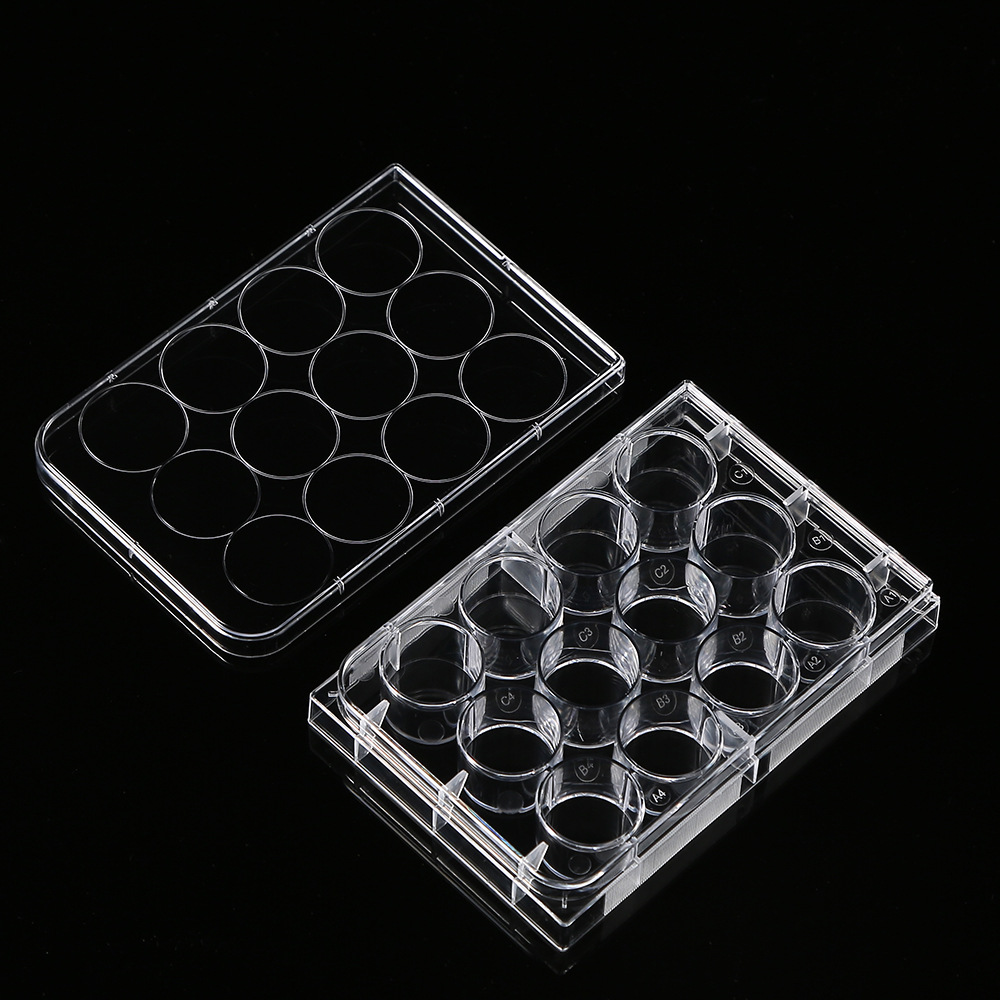 5Pcs Polystyrene 12 Well Petri - Medical Wellness & Spa Werona 评论和价格