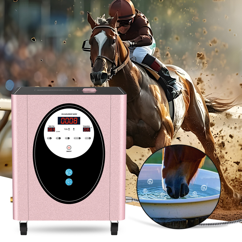 SUYZEKO Whole House Hydrogen W - Spa Wellness Health 评论和价格